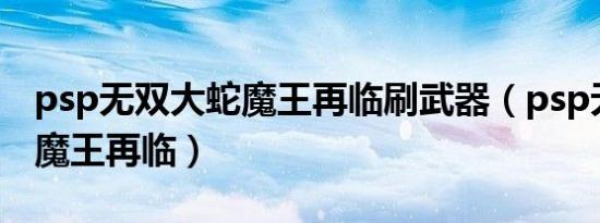 psp无双大蛇魔王再临刷武器（psp无双大蛇魔王再临）