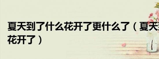 夏天到了什么花开了更什么了（夏天到了什么花开了）