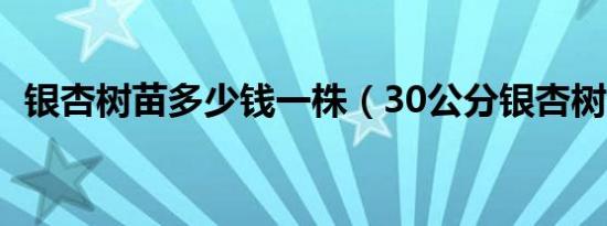 银杏树苗多少钱一株（30公分银杏树价格）