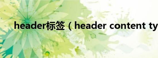 header标签（header content type）