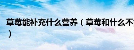 草莓能补充什么营养（草莓和什么不能一起吃）