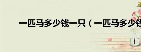 一匹马多少钱一只（一匹马多少钱）