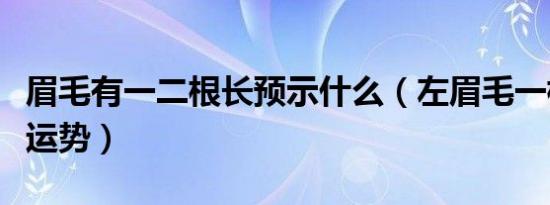 眉毛有一二根长预示什么（左眉毛一根特别长运势）