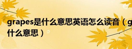 grapes是什么意思英语怎么读音（grapes是什么意思）