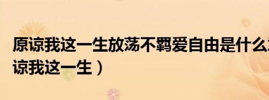 原谅我这一生放荡不羁爱自由是什么意思（原谅我这一生）