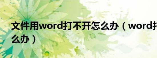 文件用word打不开怎么办（word打不开怎么办）