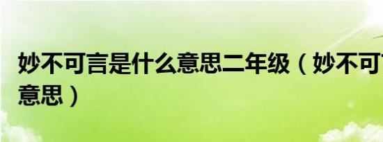 妙不可言是什么意思二年级（妙不可言是什么意思）