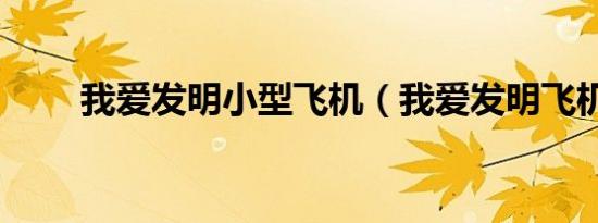 我爱发明小型飞机（我爱发明飞机）