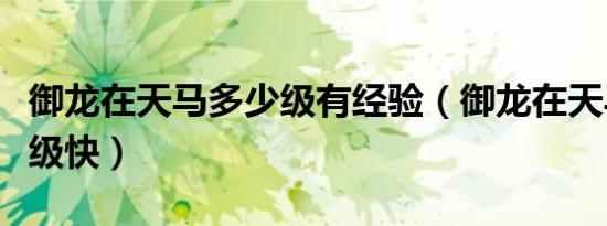 御龙在天马多少级有经验（御龙在天马怎么升级快）