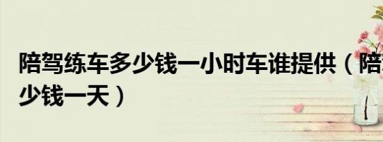 陪驾练车多少钱一小时车谁提供（陪驾练车多少钱一天）