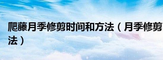 爬藤月季修剪时间和方法（月季修剪时间和方法）