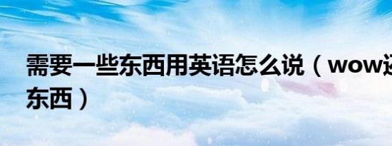 需要一些东西用英语怎么说（wow还要一些东西）