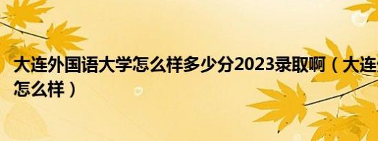 大连外国语大学怎么样多少分2023录取啊（大连外国语大学怎么样）