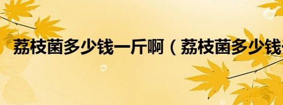 荔枝菌多少钱一斤啊（荔枝菌多少钱一斤）