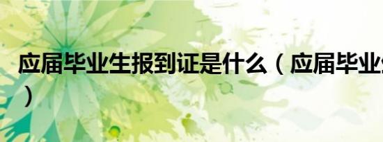应届毕业生报到证是什么（应届毕业生报到证）