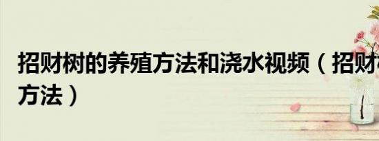 招财树的养殖方法和浇水视频（招财树的养殖方法）