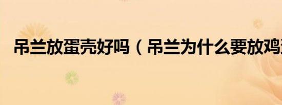 吊兰放蛋壳好吗（吊兰为什么要放鸡蛋壳）