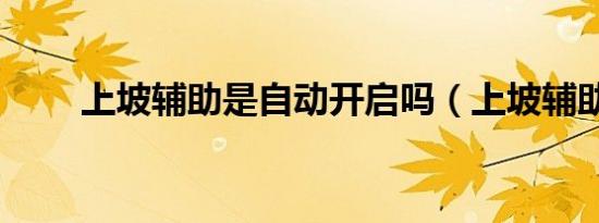 上坡辅助是自动开启吗（上坡辅助）