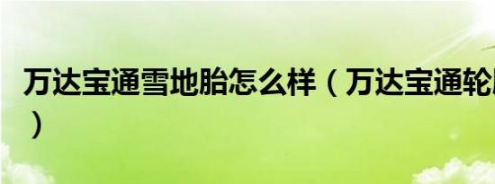 万达宝通雪地胎怎么样（万达宝通轮胎怎么样）