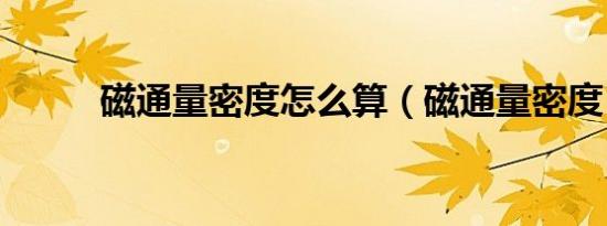 磁通量密度怎么算（磁通量密度）