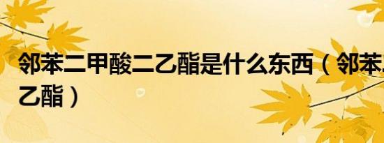 邻苯二甲酸二乙酯是什么东西（邻苯二甲酸二乙酯）