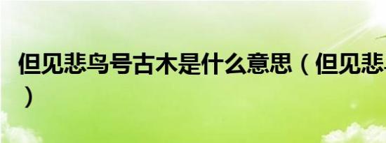 但见悲鸟号古木是什么意思（但见悲鸟号古木）