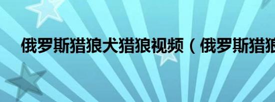 俄罗斯猎狼犬猎狼视频（俄罗斯猎狼犬）