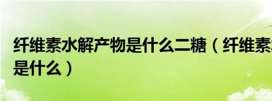 纤维素水解产物是什么二糖（纤维素水解产物是什么）