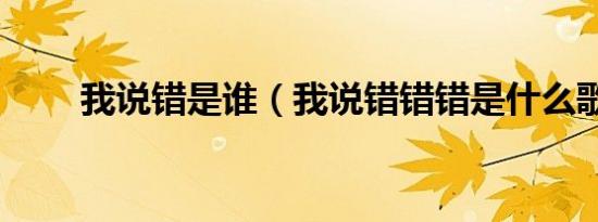 我说错是谁（我说错错错是什么歌）