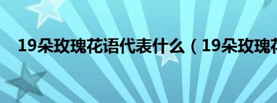 19朵玫瑰花语代表什么（19朵玫瑰花语）