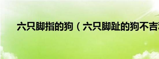 六只脚指的狗（六只脚趾的狗不吉利）