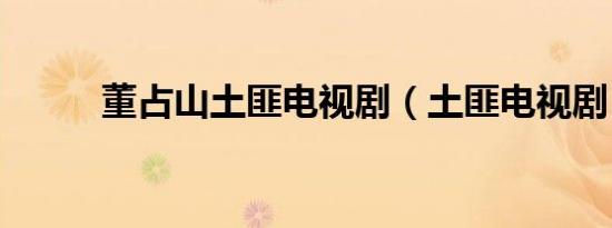 董占山土匪电视剧（土匪电视剧）