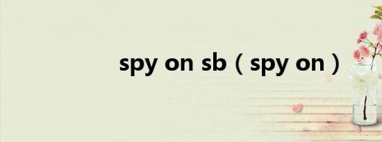 spy on sb（spy on）
