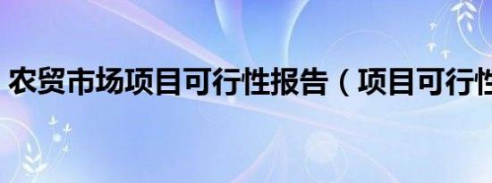农贸市场项目可行性报告（项目可行性报告）