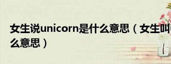 女生说unicorn是什么意思（女生叫una是什么意思）
