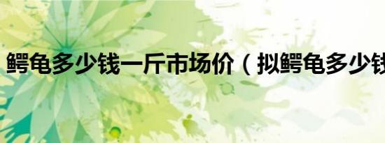鳄龟多少钱一斤市场价（拟鳄龟多少钱一斤）