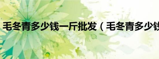毛冬青多少钱一斤批发（毛冬青多少钱一斤）