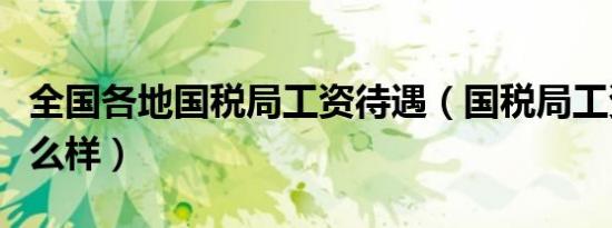 全国各地国税局工资待遇（国税局工资待遇怎么样）
