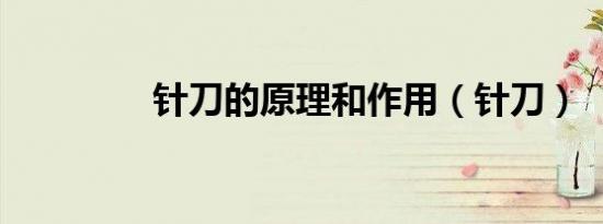 针刀的原理和作用（针刀）