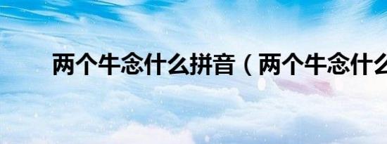 两个牛念什么拼音（两个牛念什么）