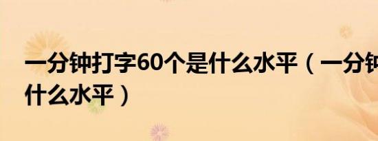 一分钟打字60个是什么水平（一分钟打字60什么水平）