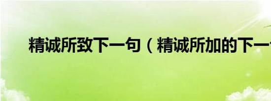 精诚所致下一句（精诚所加的下一句）