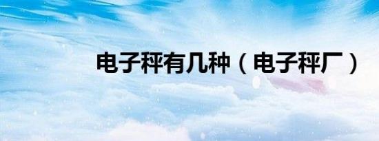 电子秤有几种（电子秤厂）