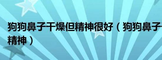 狗狗鼻子干燥但精神很好（狗狗鼻子干但是有精神）