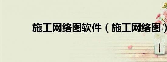 施工网络图软件（施工网络图）