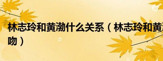 林志玲和黄渤什么关系（林志玲和黄渤是真接吻）