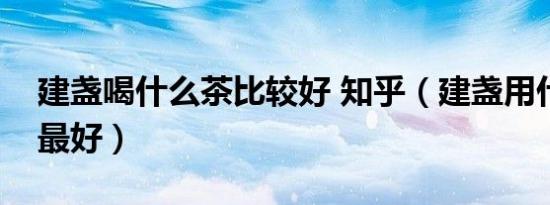 建盏喝什么茶比较好 知乎（建盏用什么茶养最好）