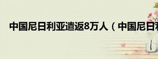 中国尼日利亚遣返8万人（中国尼日利亚）