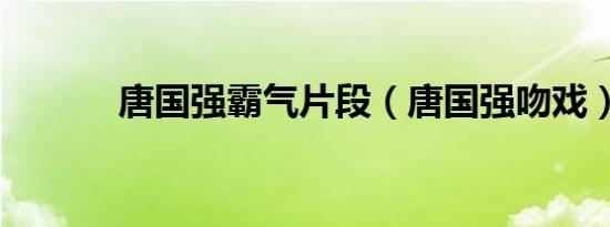 唐国强霸气片段（唐国强吻戏）