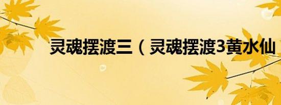 灵魂摆渡三（灵魂摆渡3黄水仙）